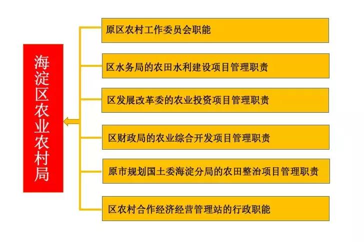 海淀区财政局新项目，推动区域经济腾飞的关键驱动力