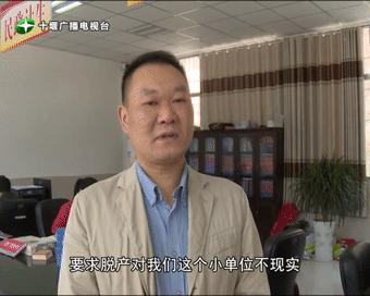 竹溪县市场监督管理局最新项目概览与动态