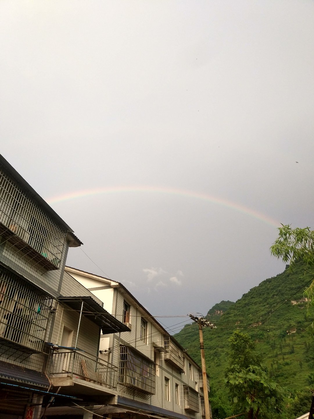 永新镇天气预报更新通知