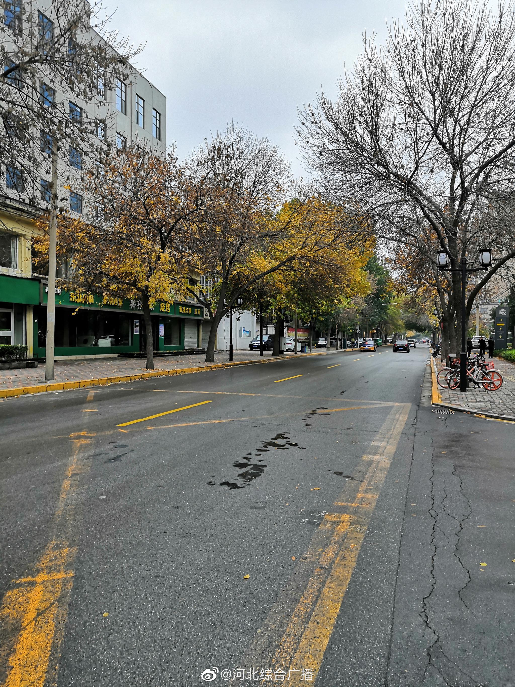 马路街街道天气预报及影响分析