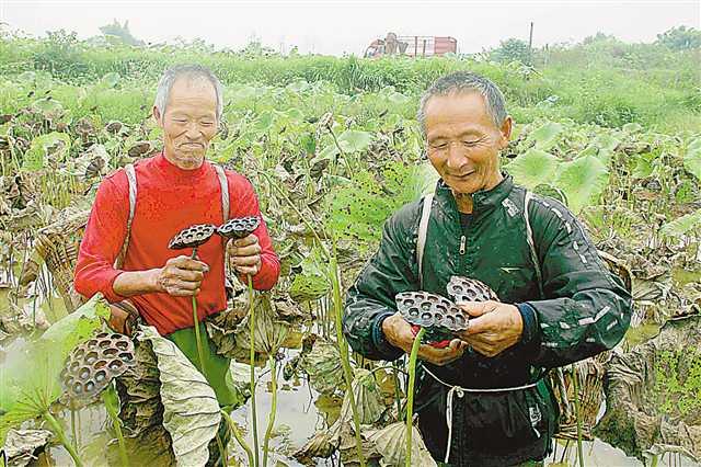 荒野游侠 第3页