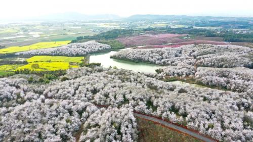 新和县市场监督管理局最新项目概览与动态