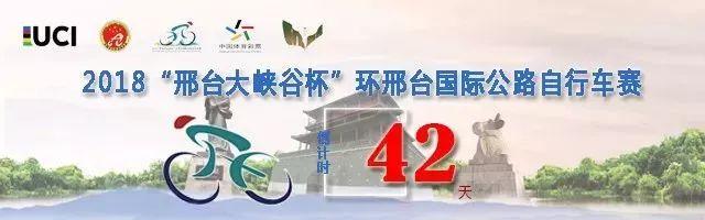 临城县人民政府办公室最新招聘公告解析