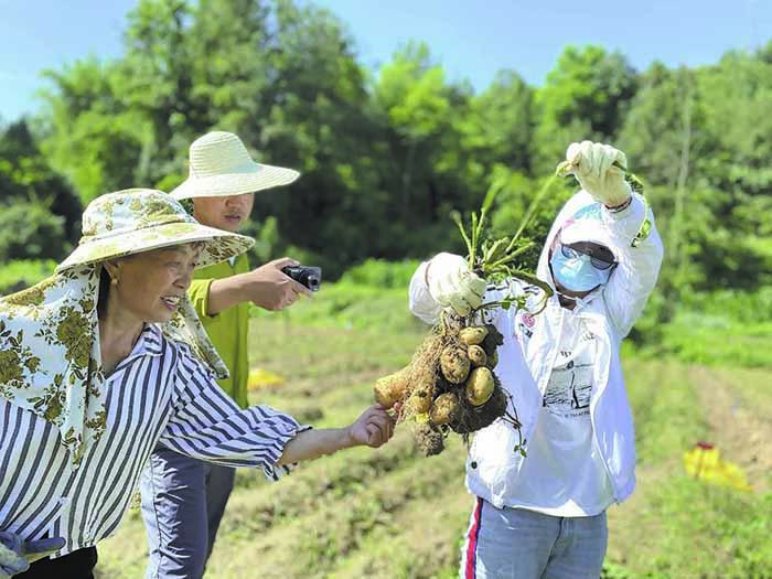 恩施土家族苗族自治州地方税务局最新项目进展及影响分析概述