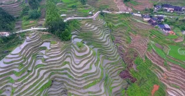 举水乡交通状况持续改善，助力地方经济发展最新消息