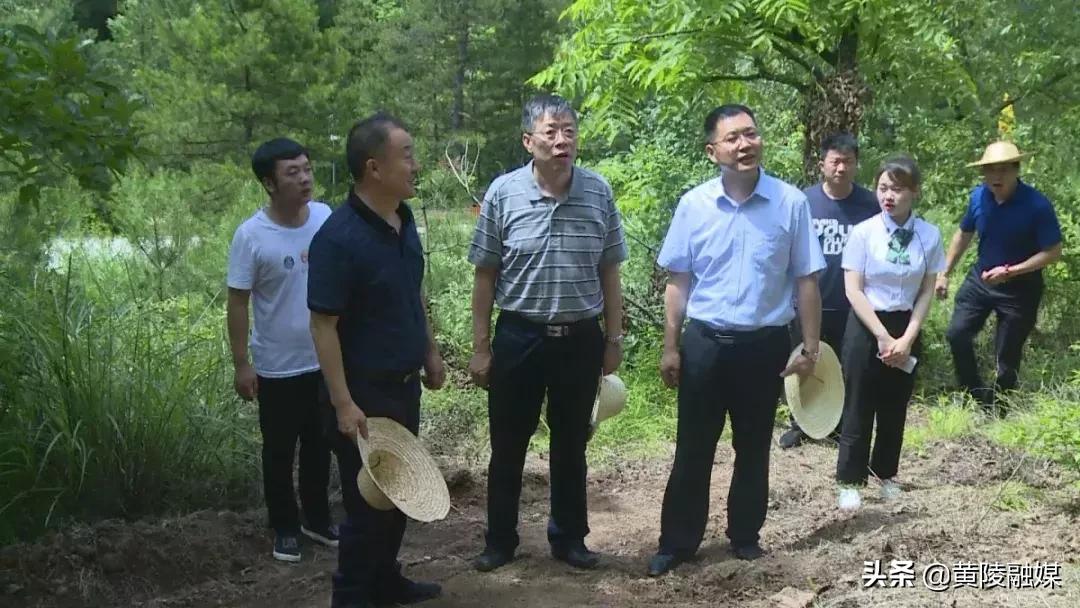 黄陵县住房和城乡建设局最新项目概览与进展