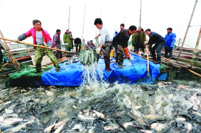 沱湖乡新项目启动，开启乡村发展新篇章