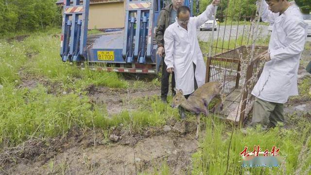 獐獏乡交通迈向现代化步伐新进展报道