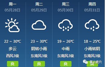 兴安镇最新天气预报