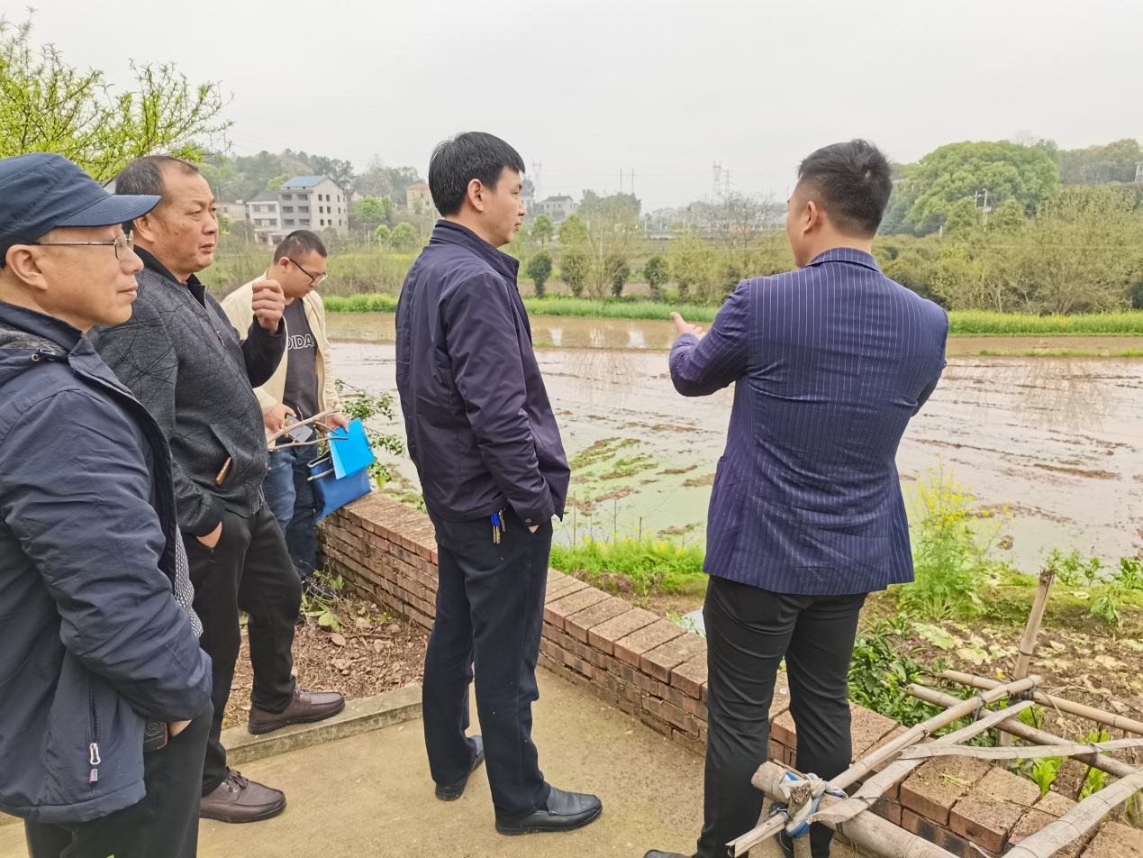 雨母山乡最新新闻报道