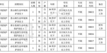 镇巴县人力资源和社会保障局招聘公告详解